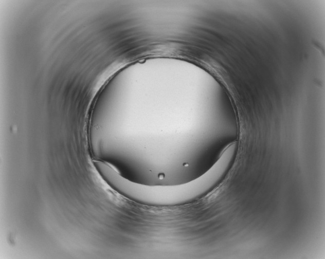 X0000099311434200805301145