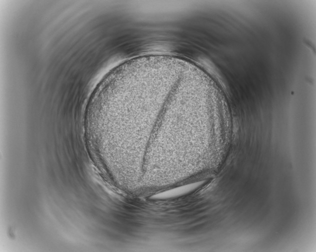 X0000099311435200805301145