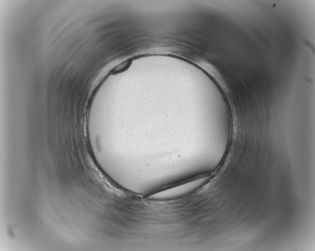 X0000099311436200805301145