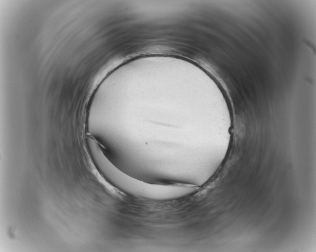 X0000099311437200805301145