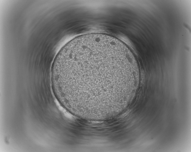 X0000099311439200805301145