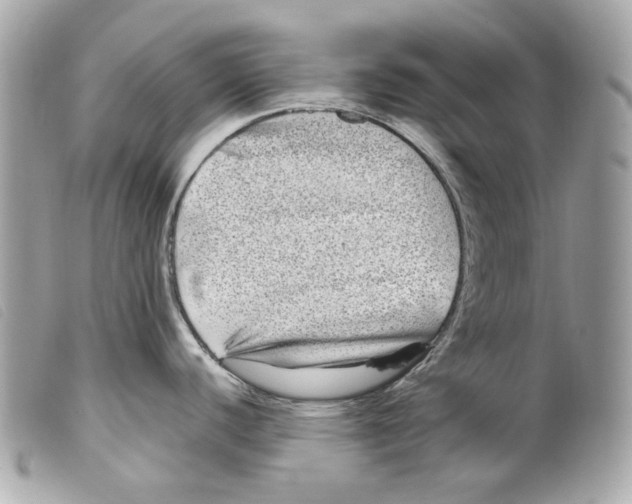 X0000099311440200805301145