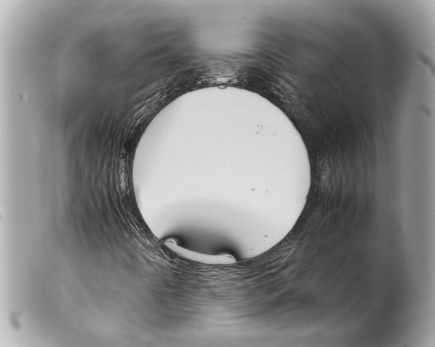 X0000099311442200805301144