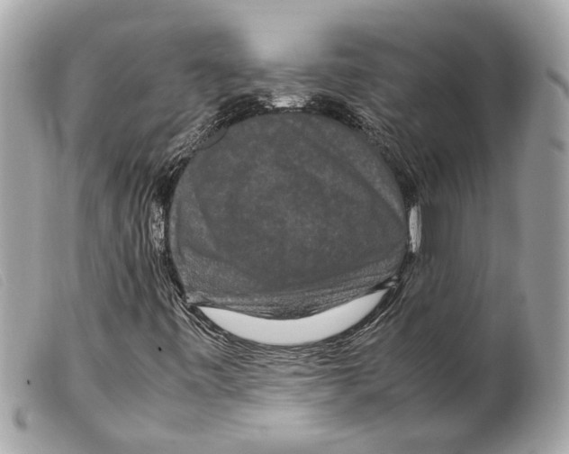 X0000099311443200805301144