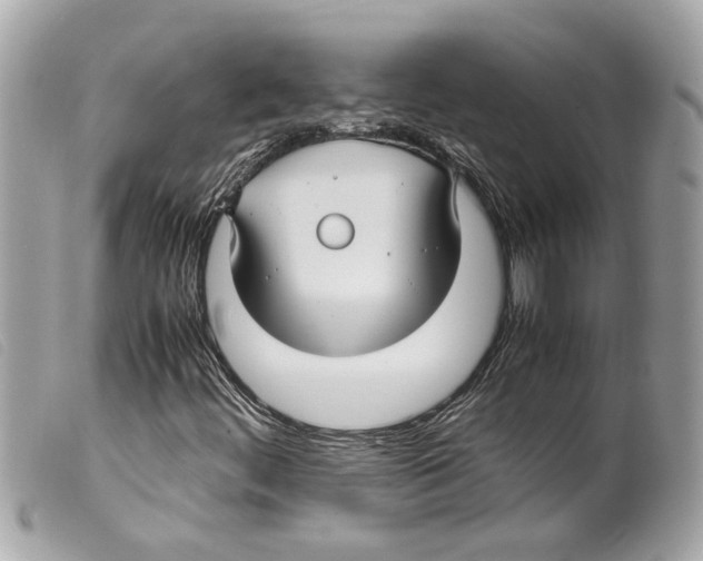 X0000099311444200805301144