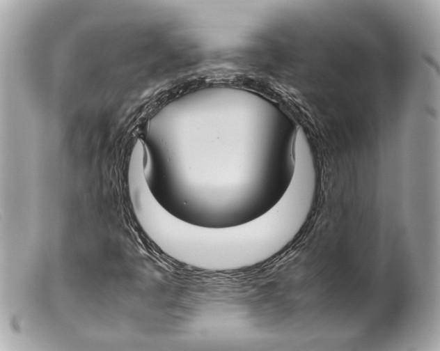 X0000099311445200805301144