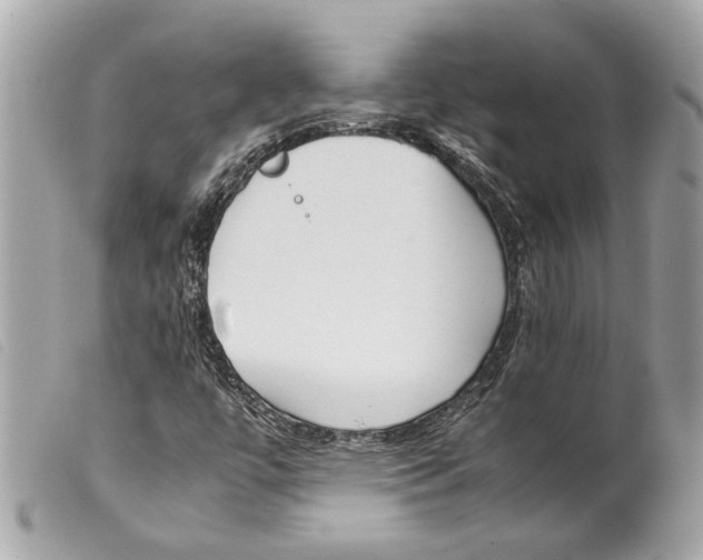 X0000099311447200805301144