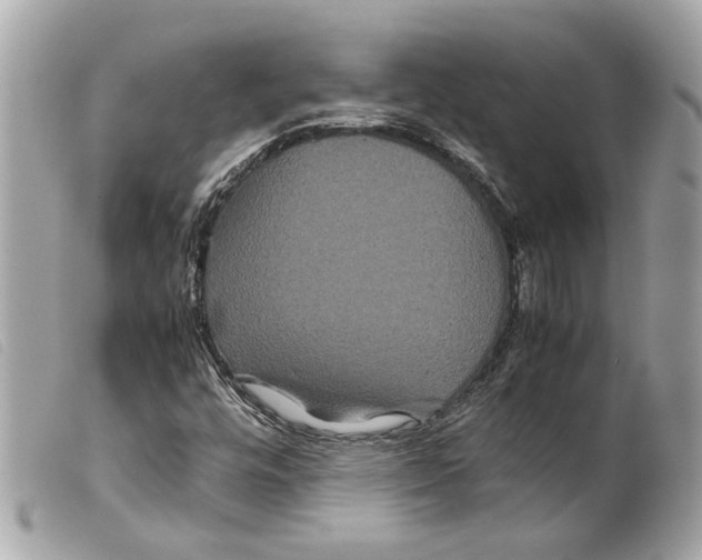 X0000099311448200805301144