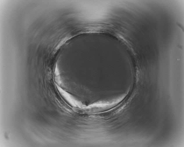 X0000099311449200805301144