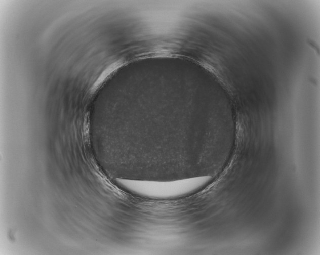 X0000099311450200805301144