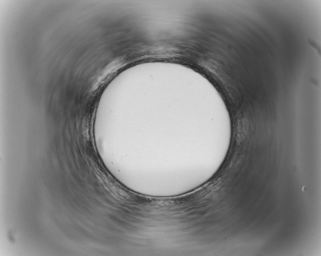 X0000099311451200805301144