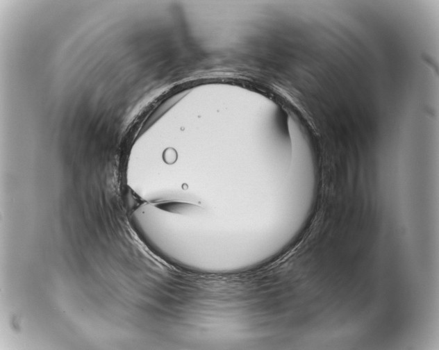 X0000099311452200805301144