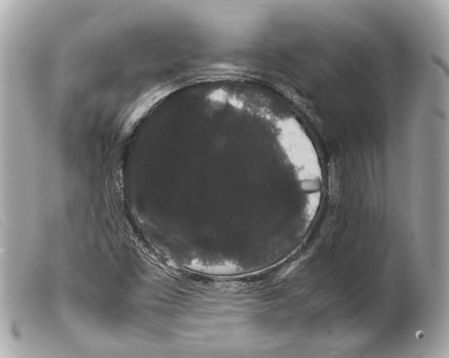 X0000099311453200805301144