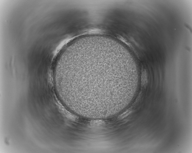 X0000099311454200805301144