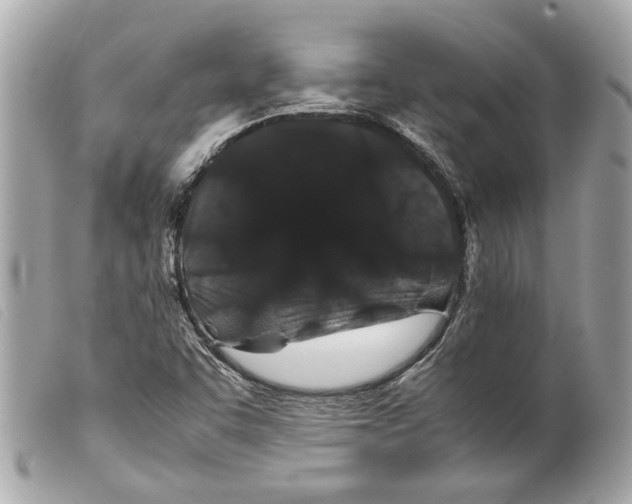 X0000099311455200805301144