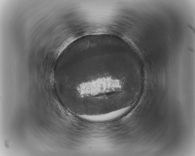 X0000099311457200805301144