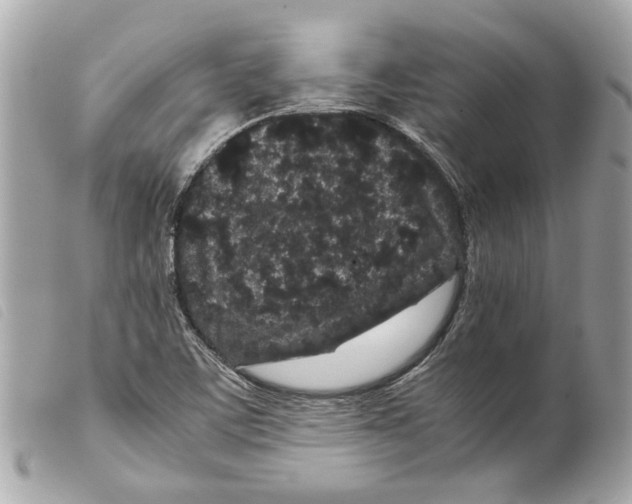 X0000099311459200805301144