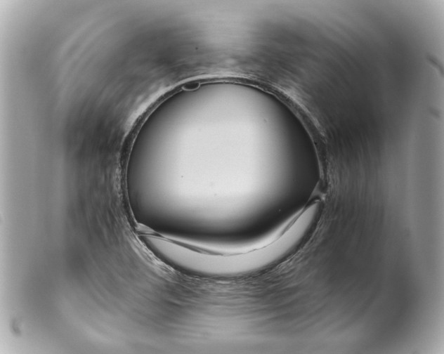 X0000099311460200805301144