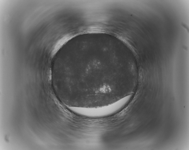 X0000099311461200805301144