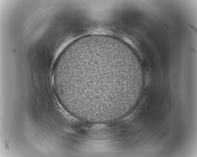 X0000099311462200805301144