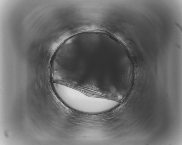 X0000099311463200805301144