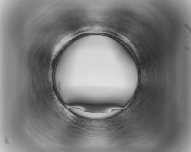 X0000099311464200805301144