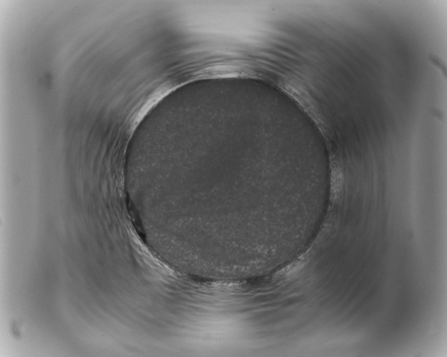 X0000099311465200805301144