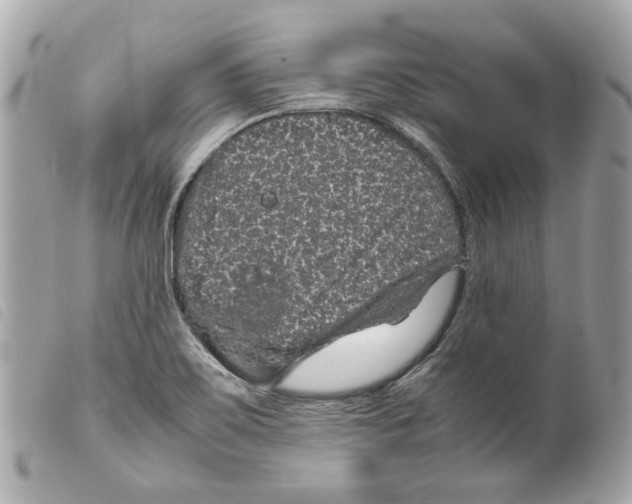 X0000099311467200805301144