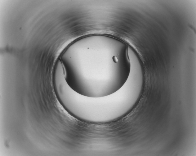 X0000099311468200805301144