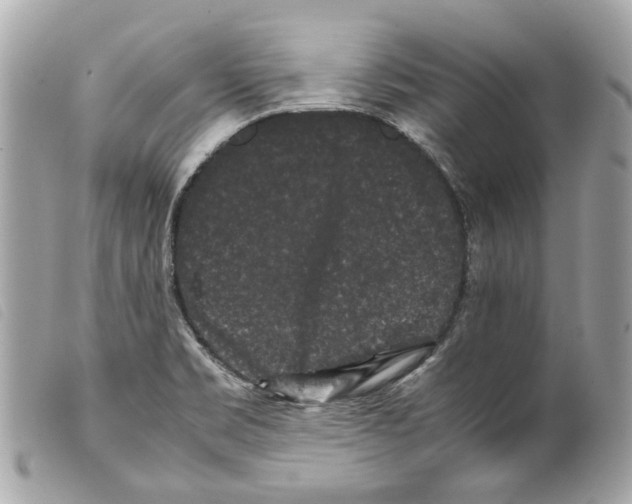 X0000099311469200805301144