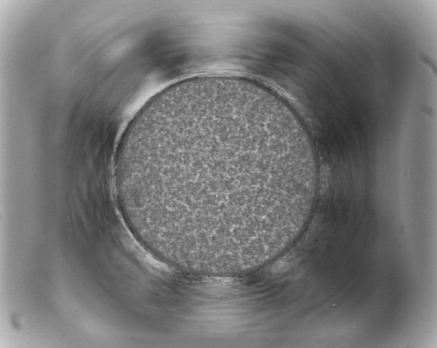 X0000099311470200805301144