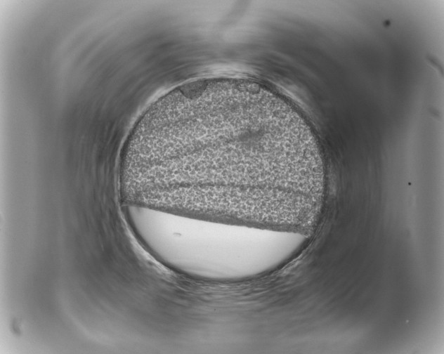 X0000099311471200805301144