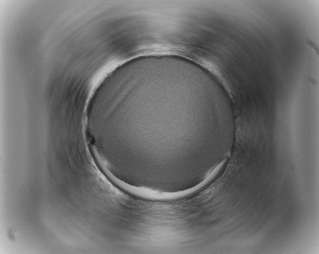 X0000099311472200805301144