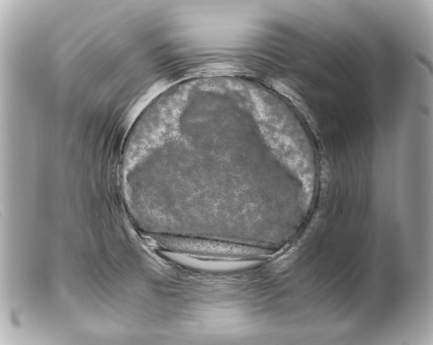 X0000099311473200805301144