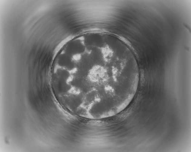 X0000099311474200805301144