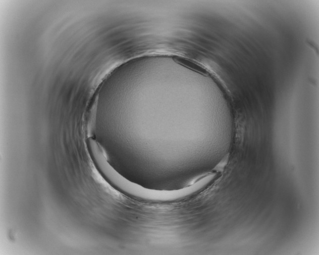 X0000099311476200805301144