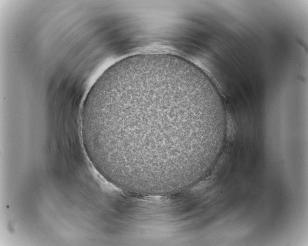 X0000099311478200805301144