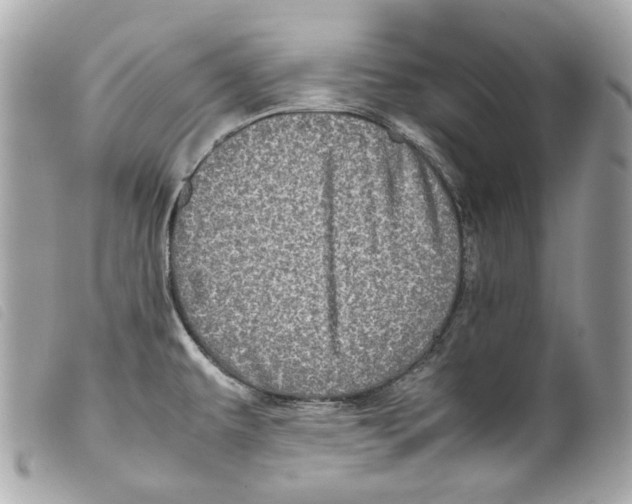 X0000099311479200805301144