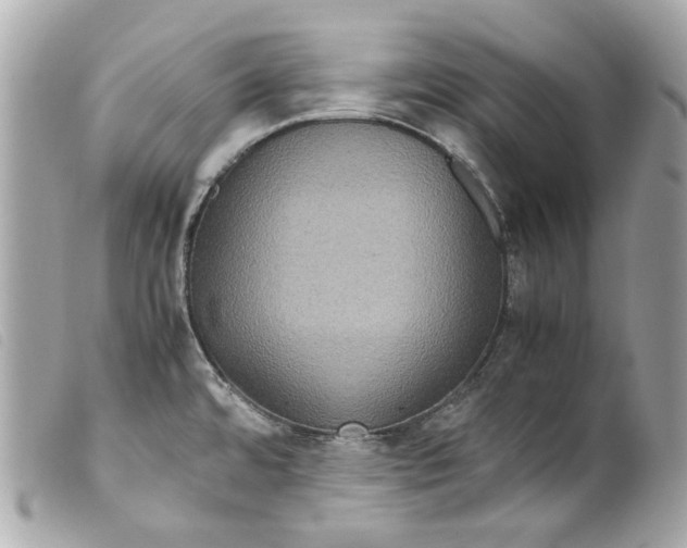 X0000099311480200805301144