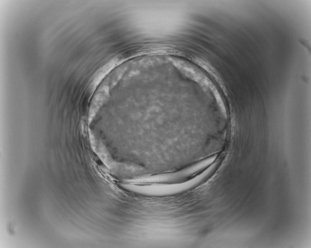 X0000099311481200805301144