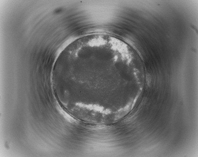 X0000099311482200805301144