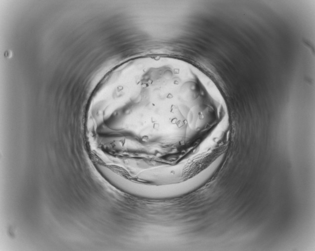 X0000099311483200805301144