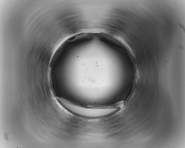 X0000099311484200805301144