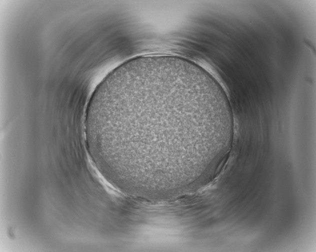 X0000099311485200805301144