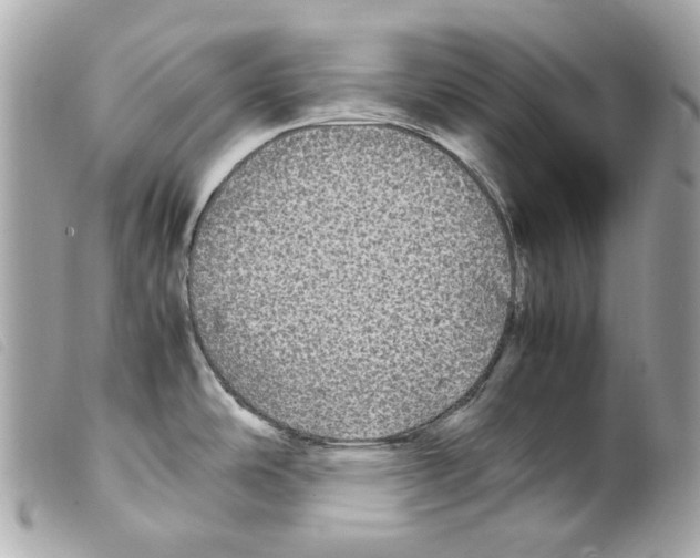 X0000099311486200805301144