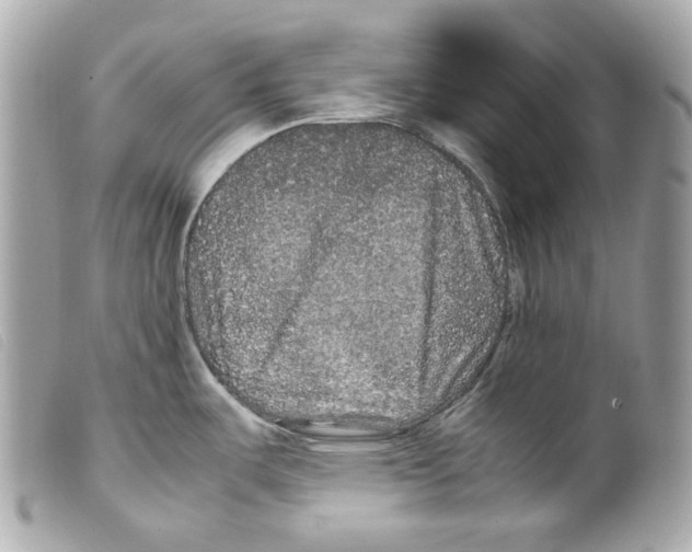 X0000099311487200805301144