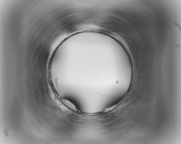 X0000099311488200805301144