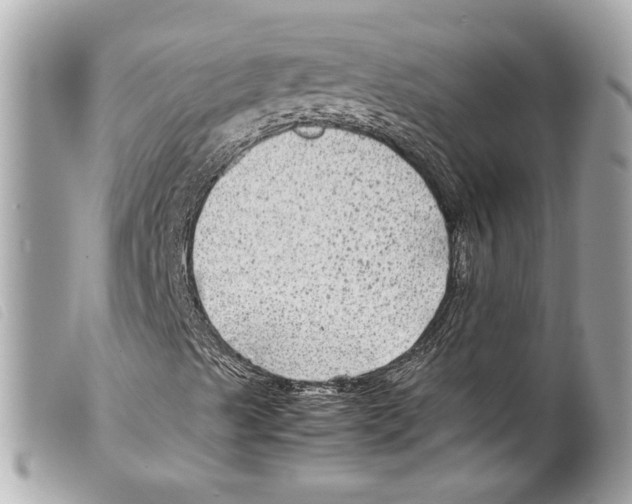 X0000099311489200805301143