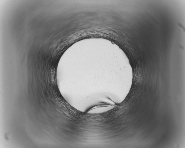 X0000099311490200805301143