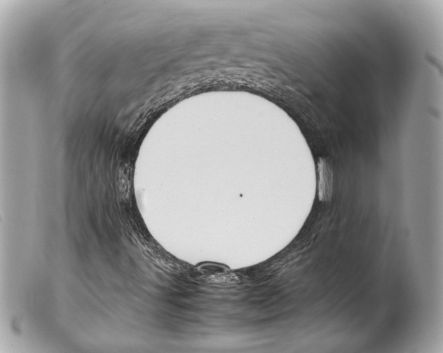 X0000099311491200805301143